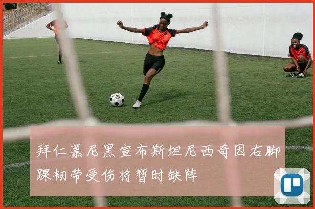 拜仁慕尼黑宣布斯坦尼西奇因右脚踝韧带受伤将暂时缺阵