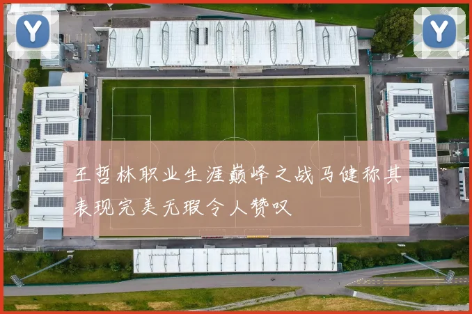 王哲林职业生涯巅峰之战马健称其表现完美无瑕令人赞叹