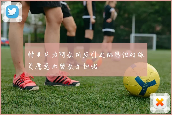 特里认为阿森纳应引进凯恩但对球员愿意加盟表示担忧