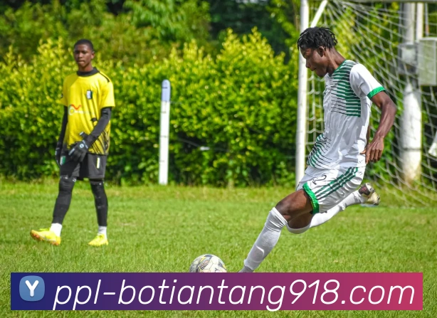 APP界面展示